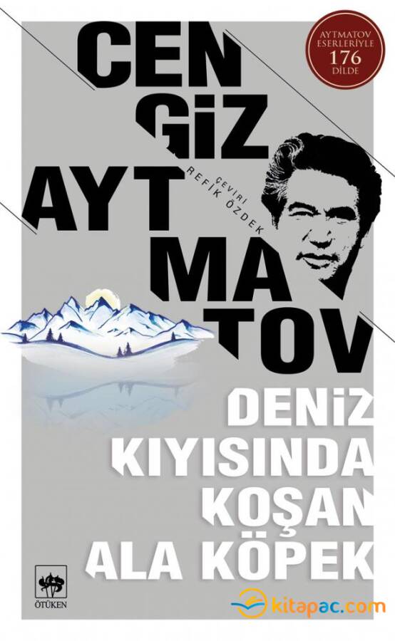 DENİZ KIYISINDA KOŞAN ALA KÖPEK - 1