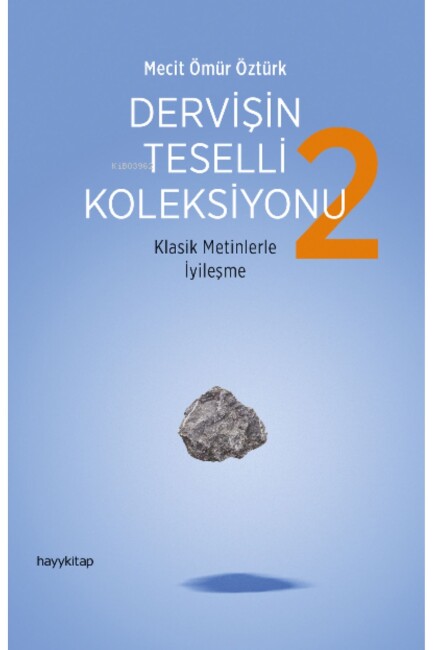 DERVİŞİN TESELLİ KOLEKSİYONU - 2 - HAYY YAYINLARI