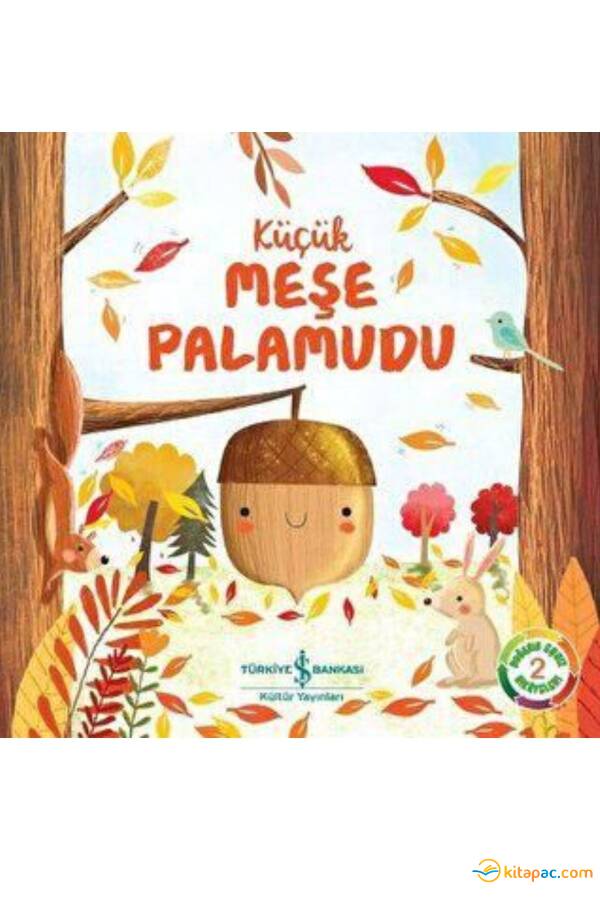 KÜÇÜK MEŞE PALAMUDU - 1