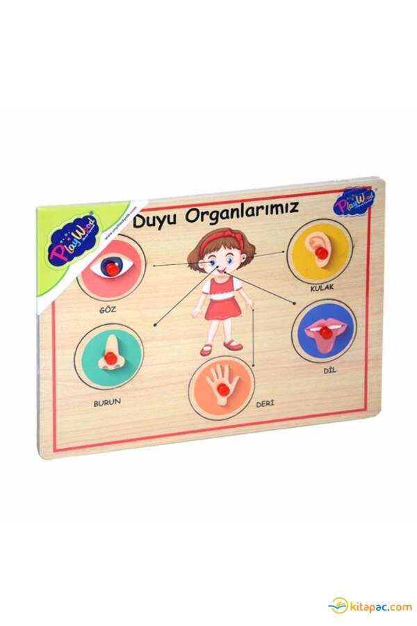 ONYIL PLAYWOOD AHŞAP TUTMALI ORGANLAR - 1